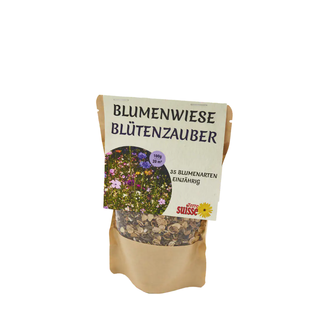 Blumenwiese Samen anlegen