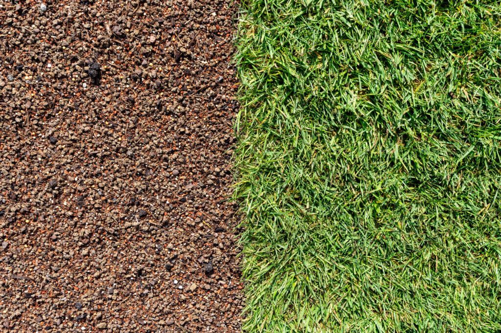 Rasenansaat und Rollrasen verlegen