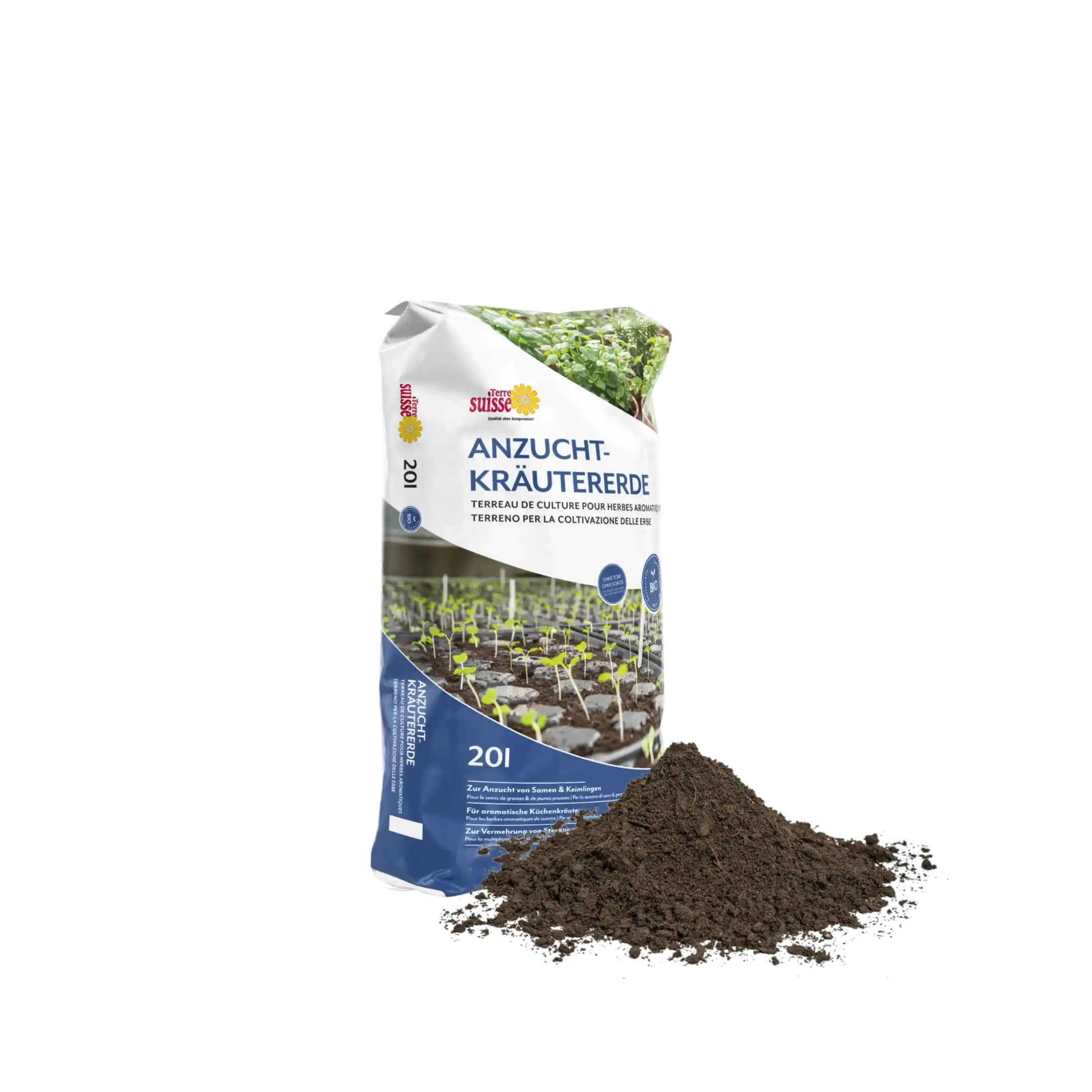 Mélange de semis pour herbes aromatiques 