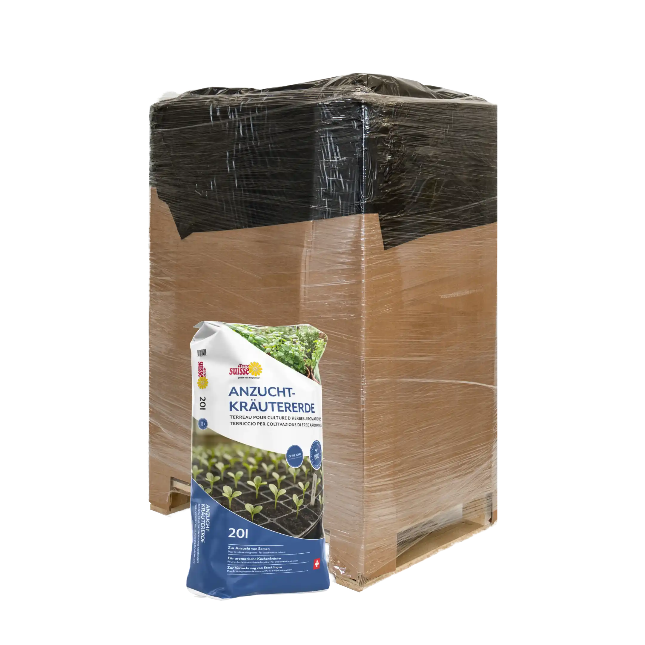 Miscela di semi per erbe aromatiche 