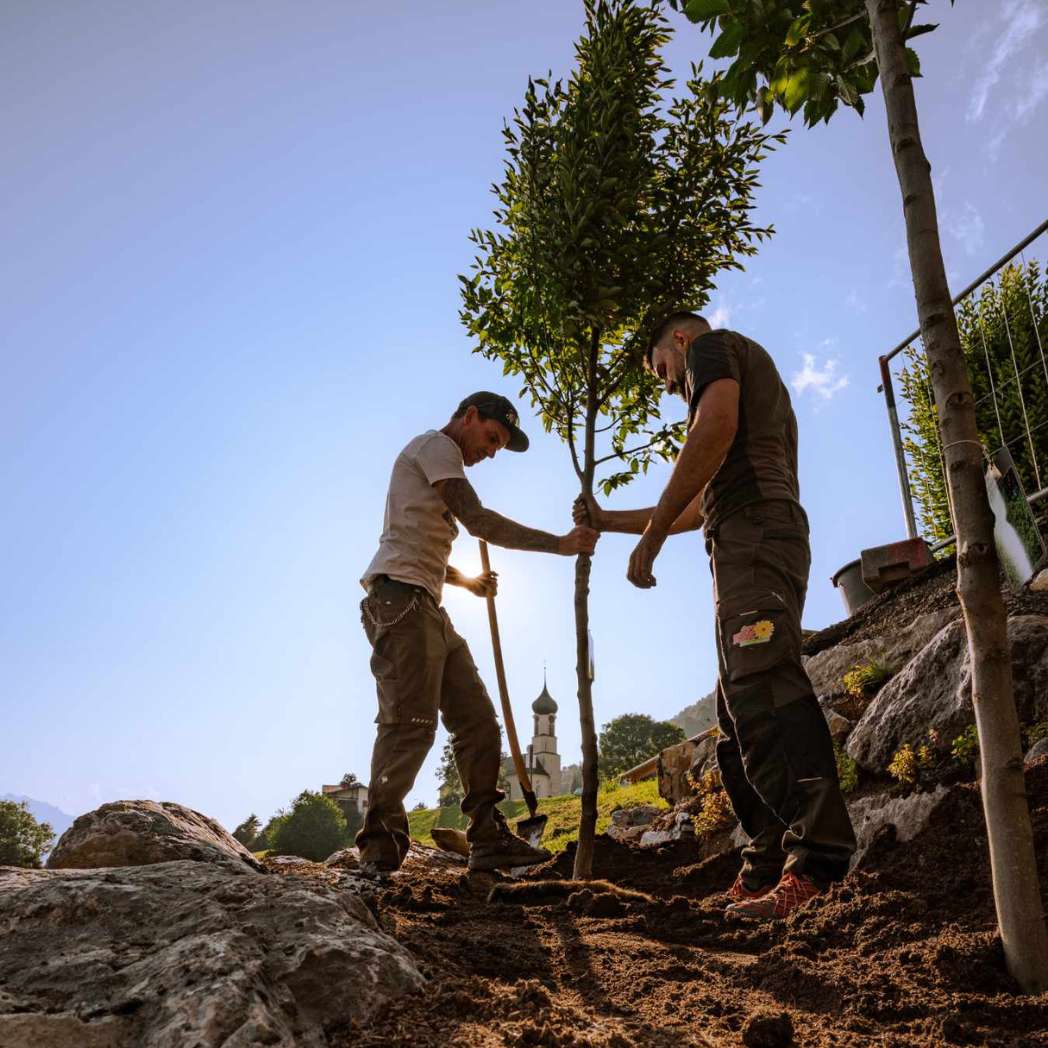 Engrais organique pour arbres, arbustes et haies 20 kg