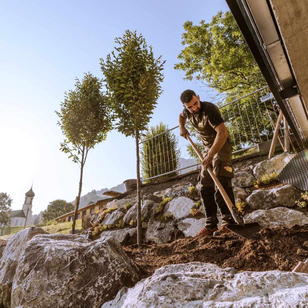 substrat de plantation d'arbres type 1 