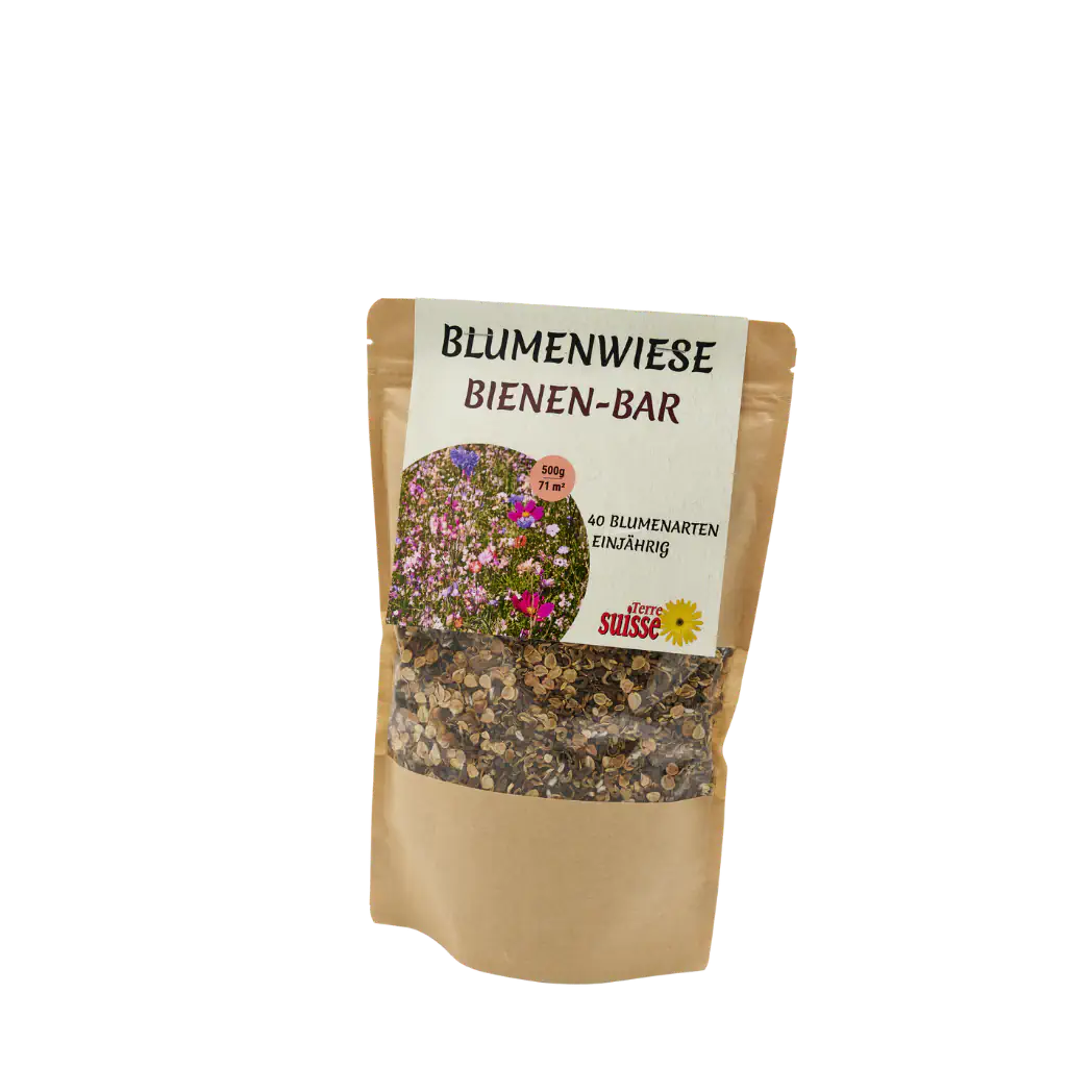 Prato fiorito "Bee Bar"