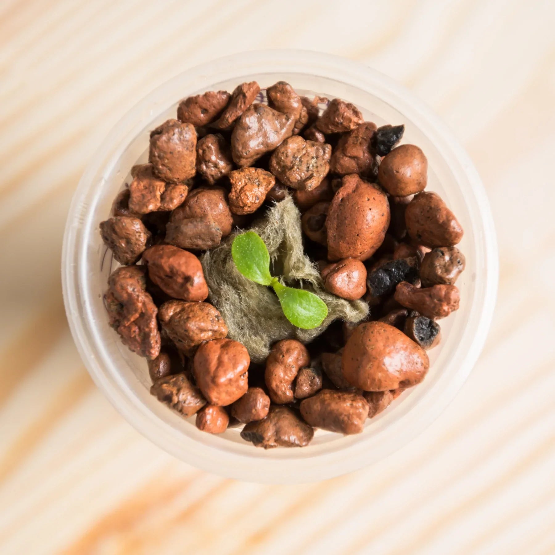 Argilla espansa Hydro 8-16 mm