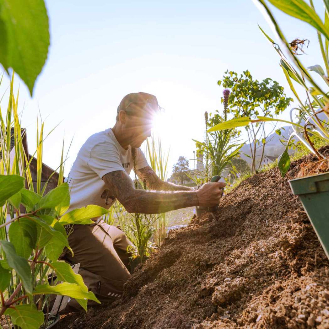 Copeaux de corne 25 kg
