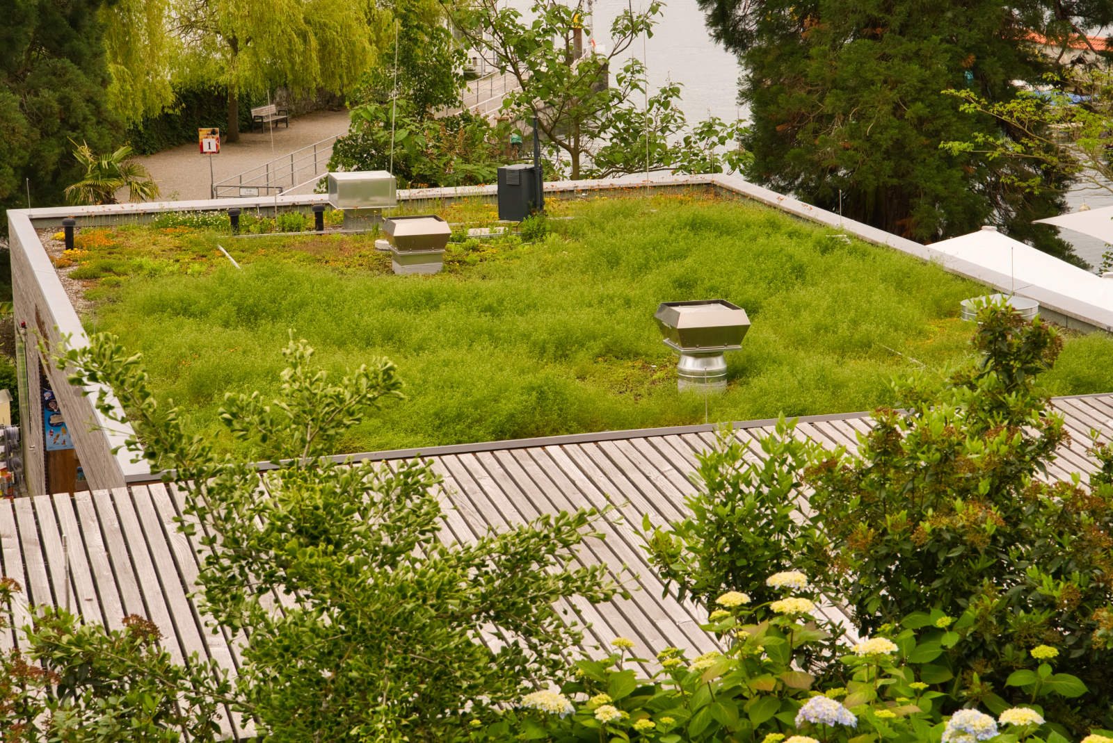 Substrat de toiture TS 80/20 Big Bag 1 m³ 