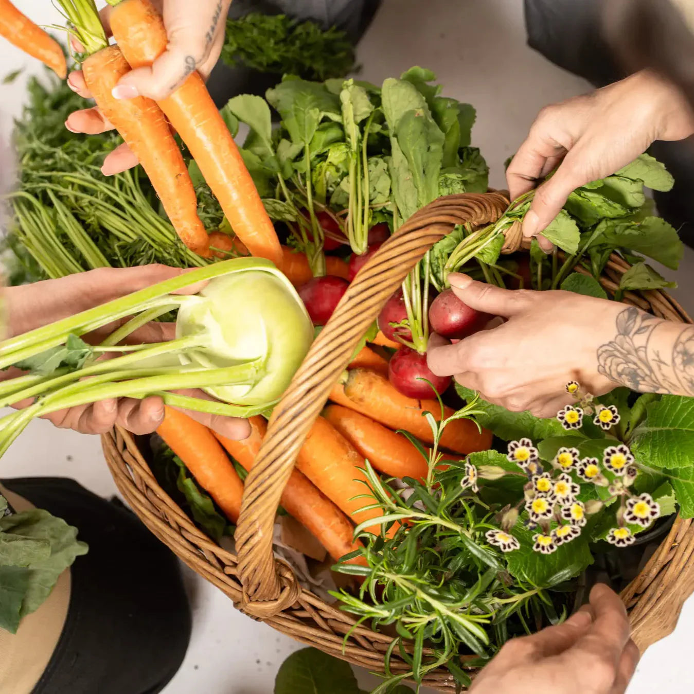 Professionnel du jardinage - Sol