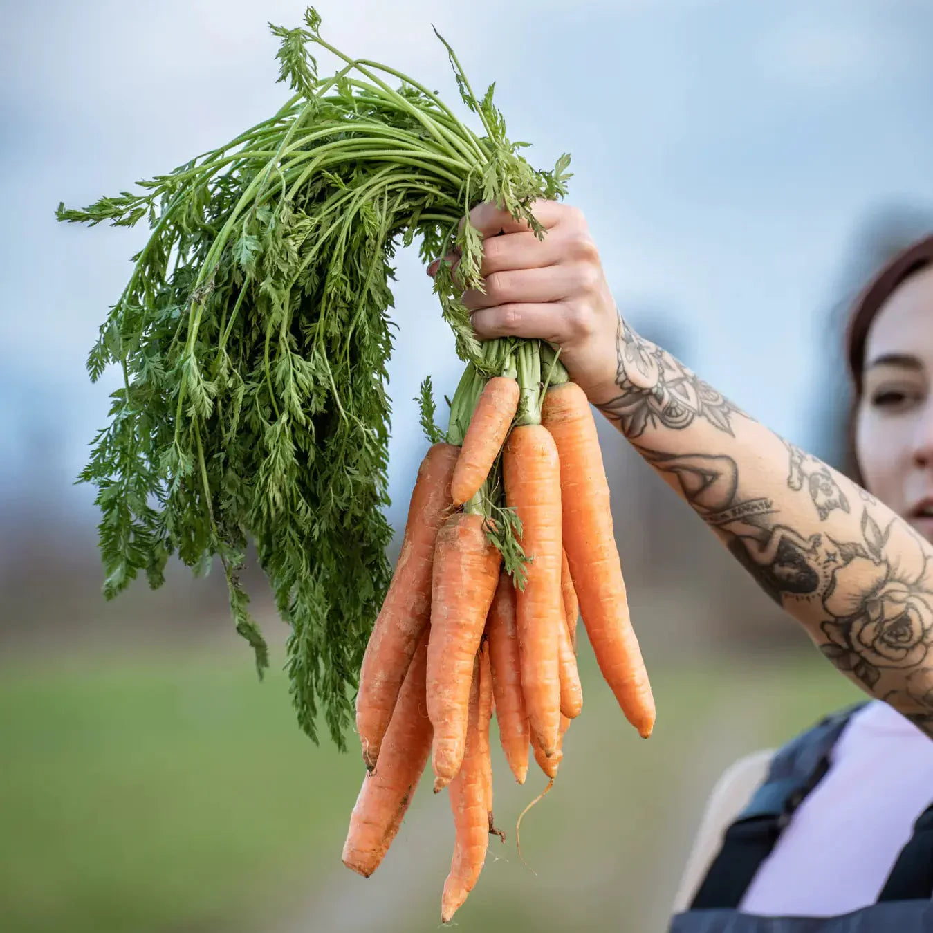 terreno da giardino sciolto 