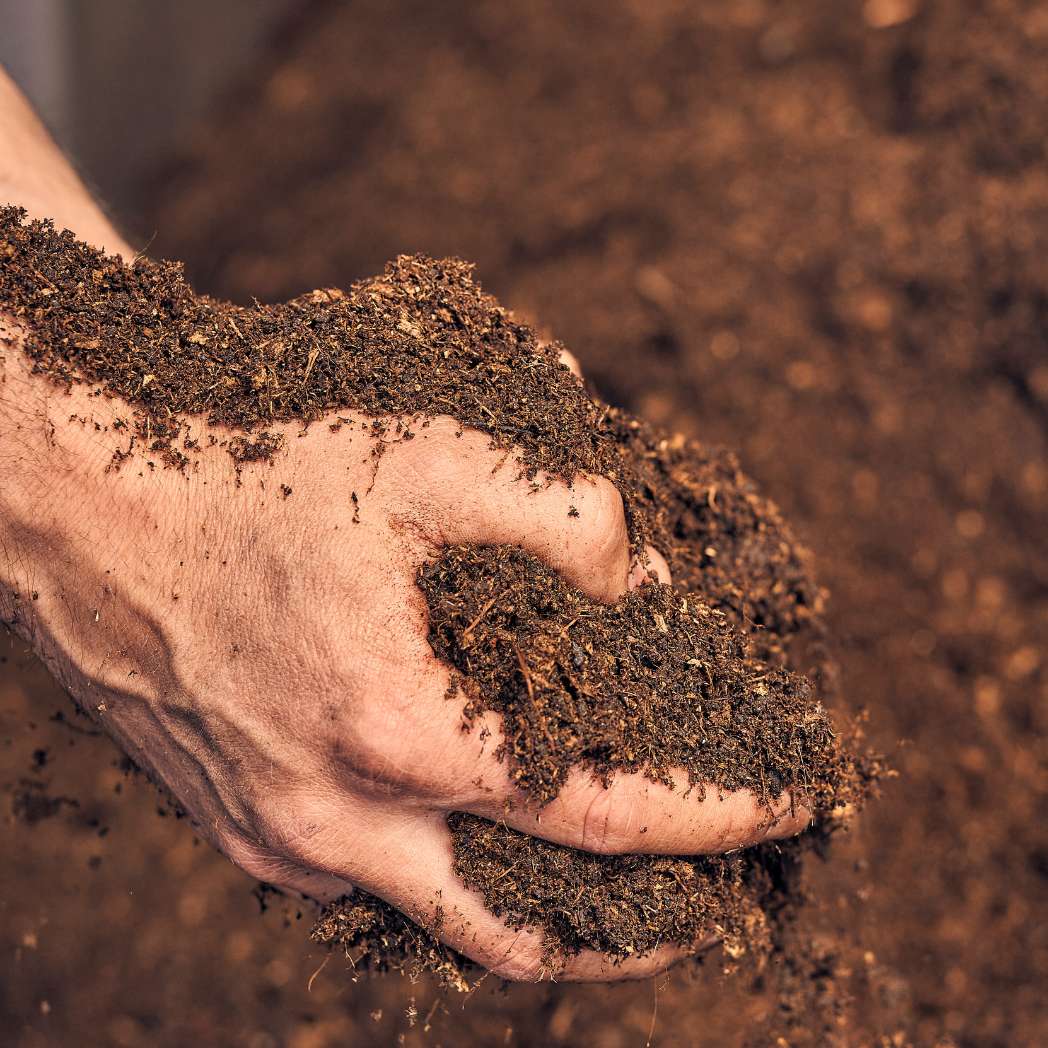 Professionnel du jardinage - Sol