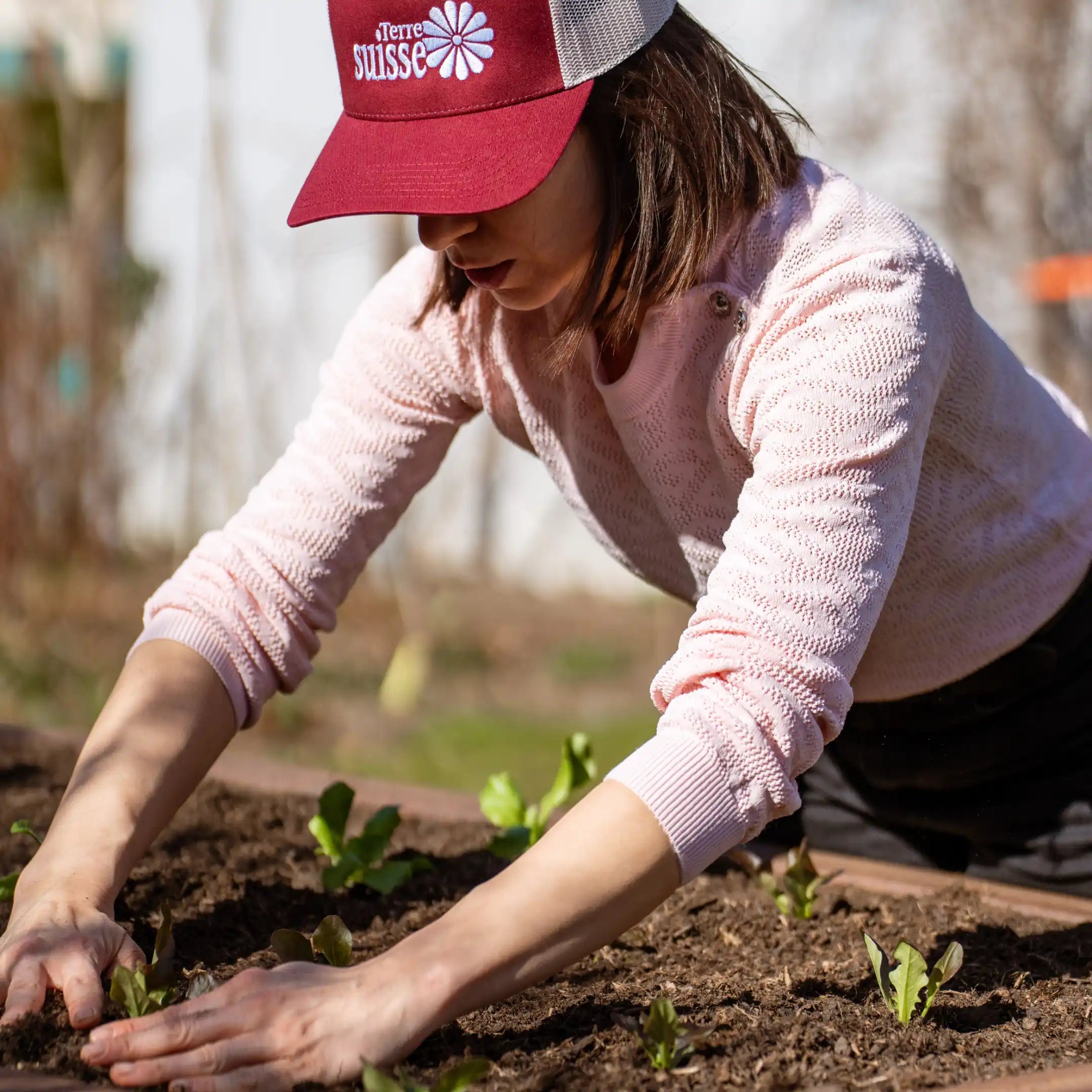 terre meuble des plates-bandes surélevées