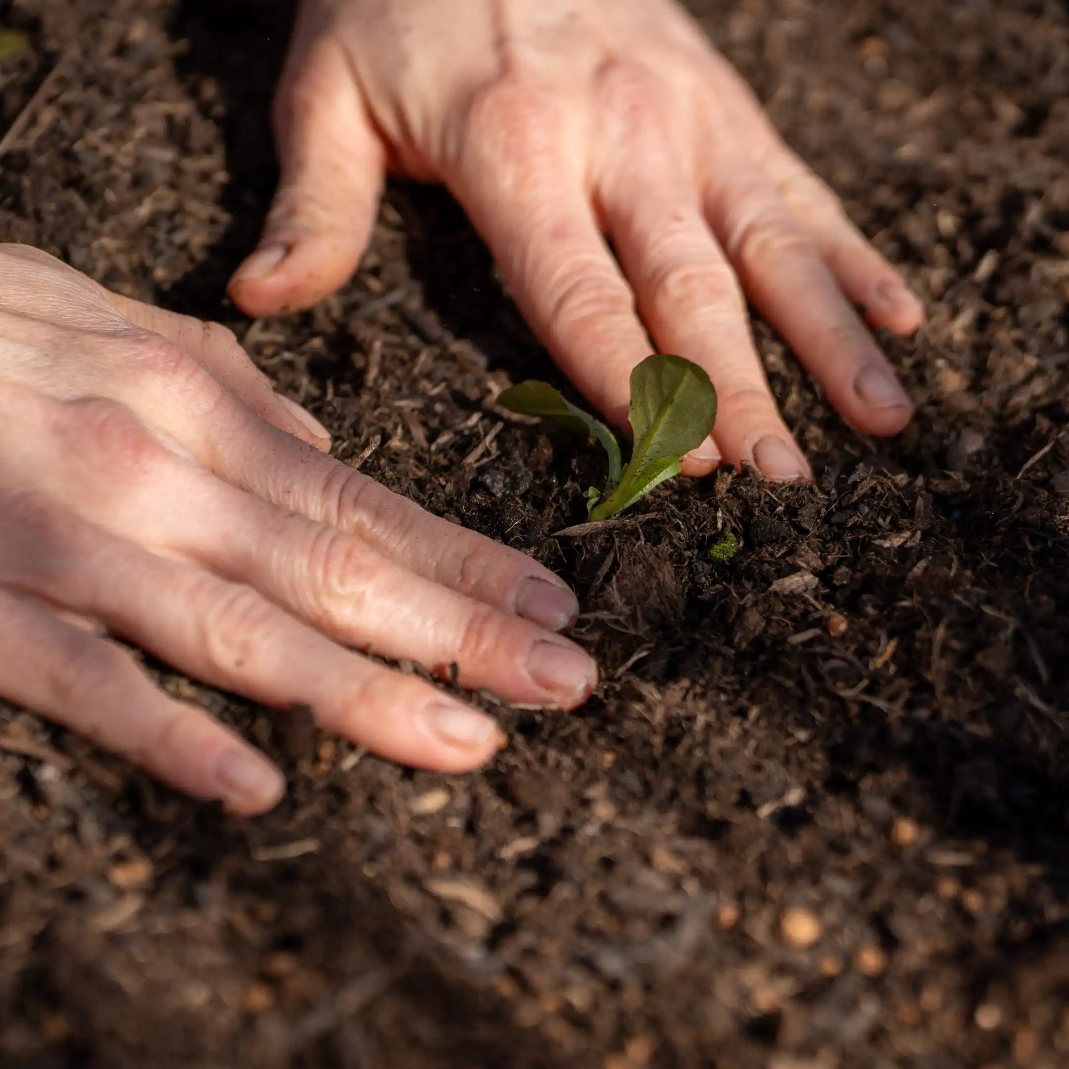 Lit surélevé en acier