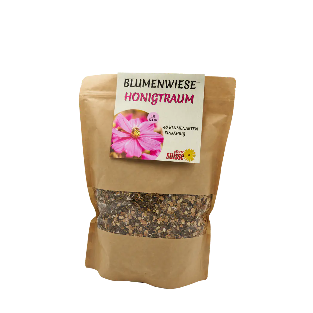 Prato fiorito "Sogno di miele"