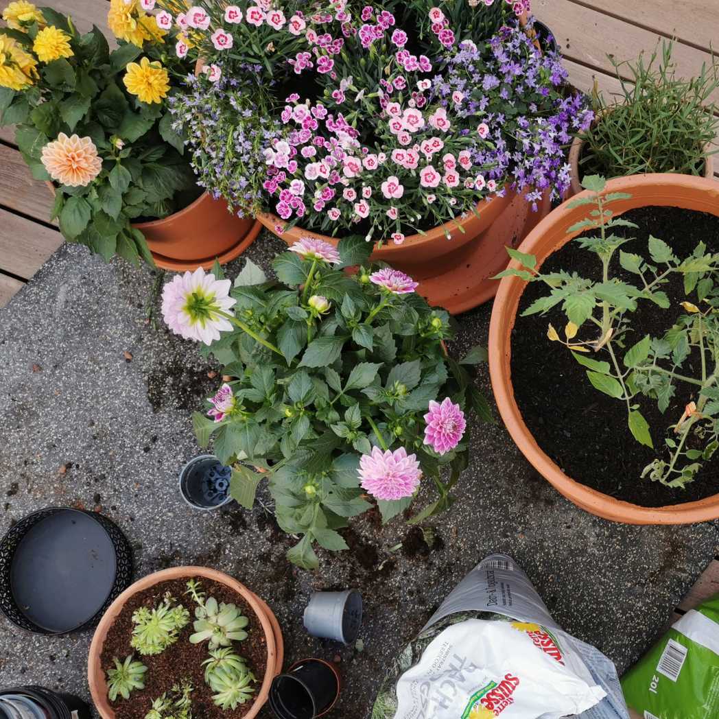 Argilla espansa, marrone, 4-16 mm 