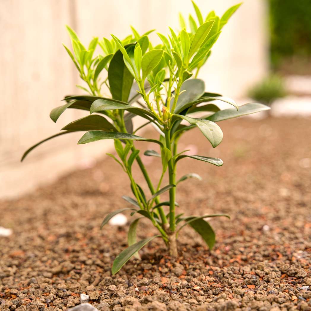 Sac de 1 m³ de lave 3-8 mm