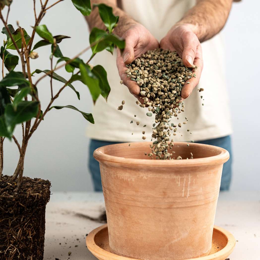 Substrat minéral 2-5