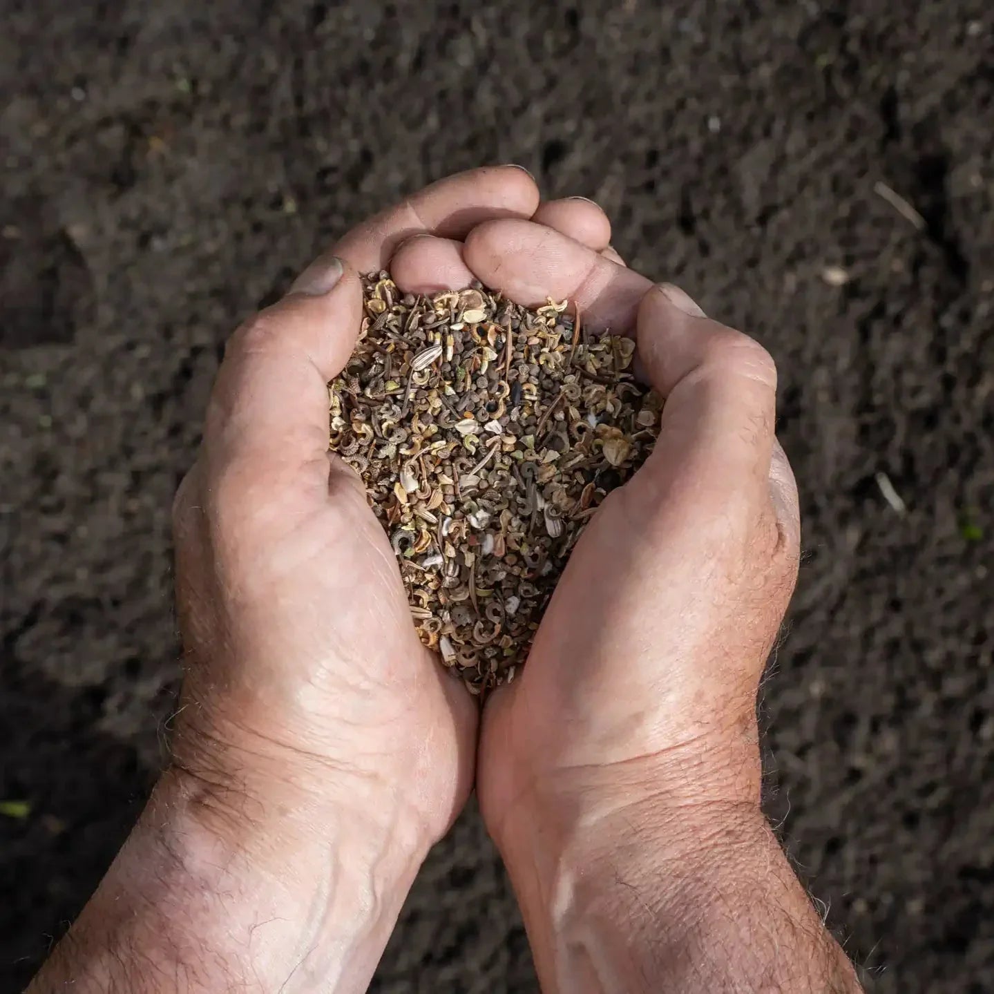 prairie fleurie « La prairie fleurie de grand-mère »