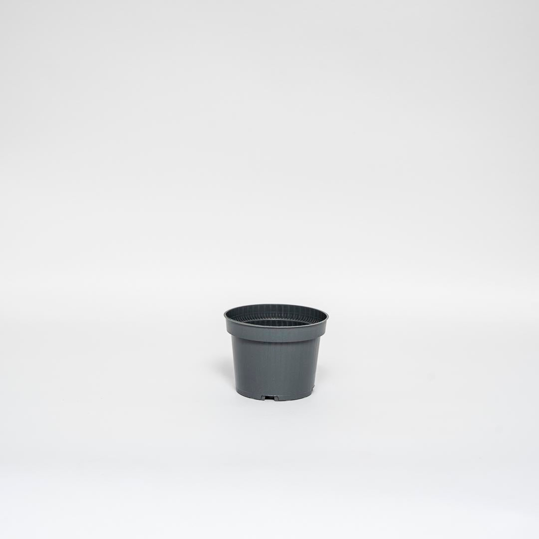 Set di vasi per piante, grigio riciclato