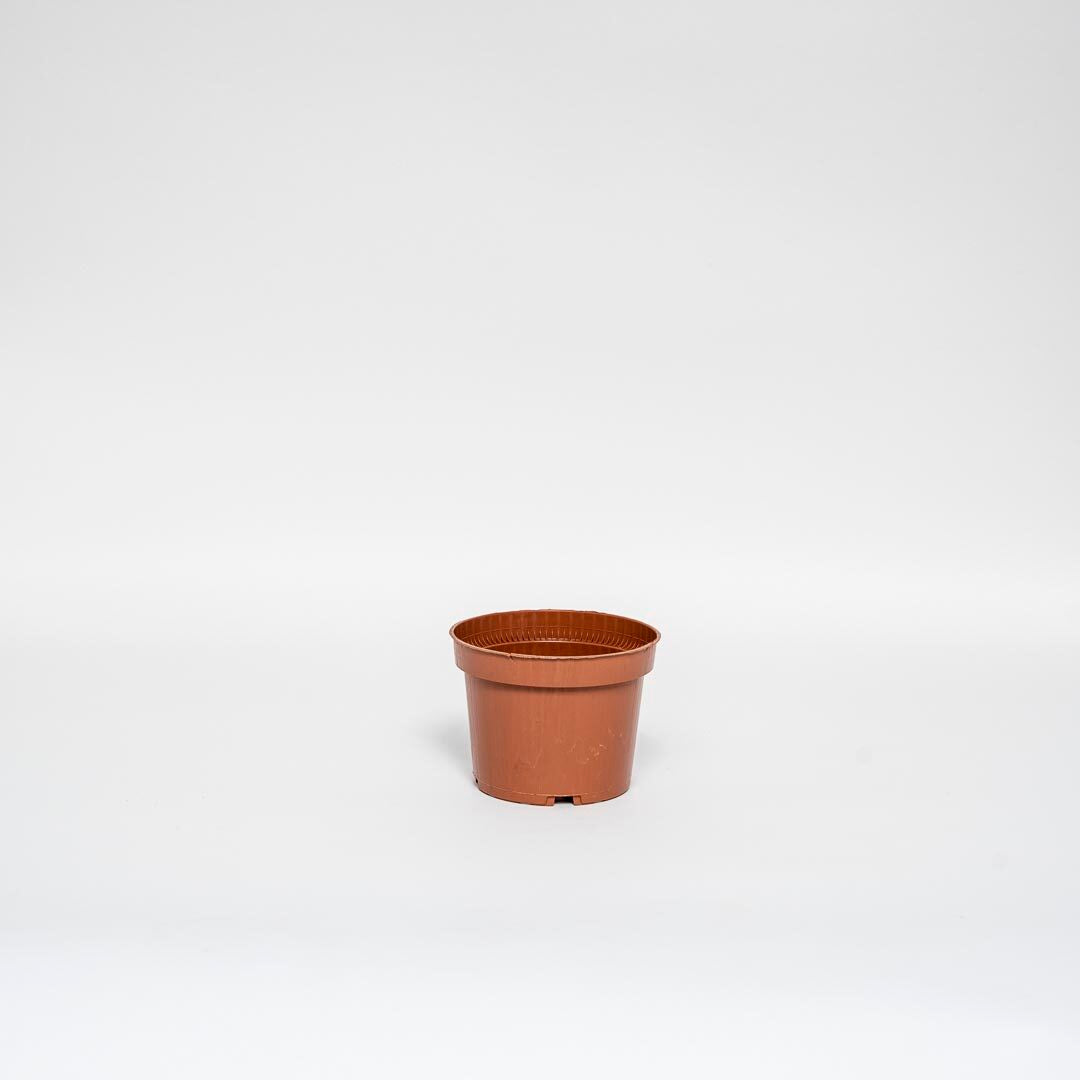 Ensemble de pots de fleurs en terre cuite