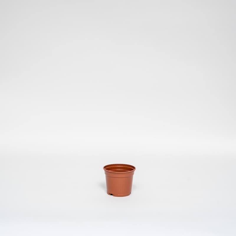 Ensemble de pots de fleurs en terre cuite