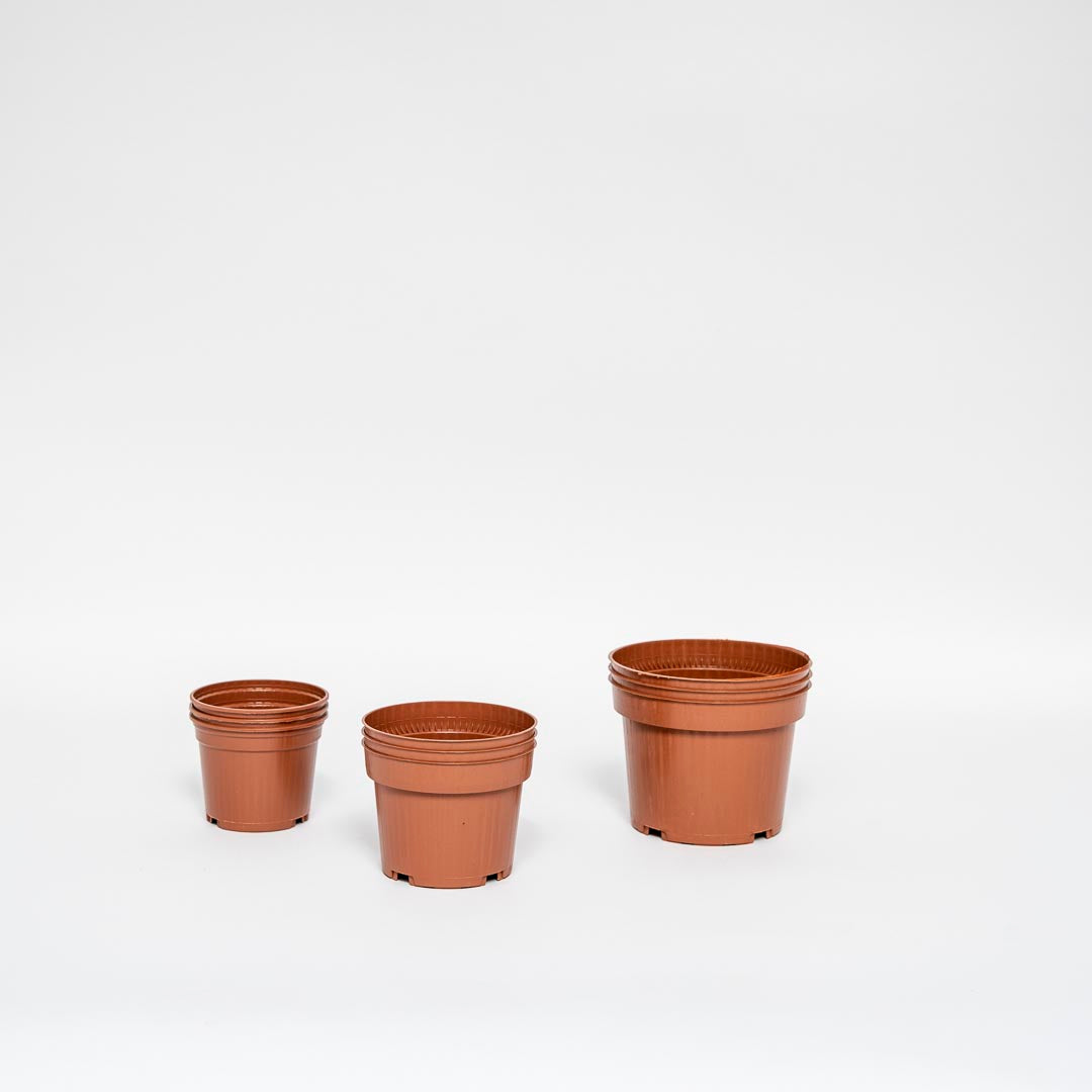 Ensemble de pots de fleurs en terre cuite