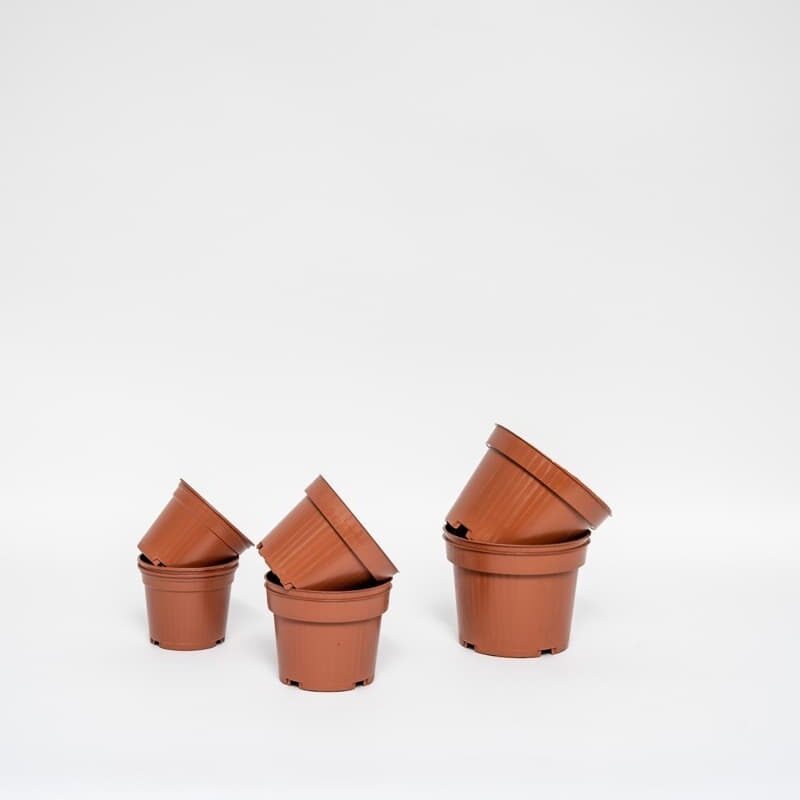 Ensemble de pots de fleurs en terre cuite