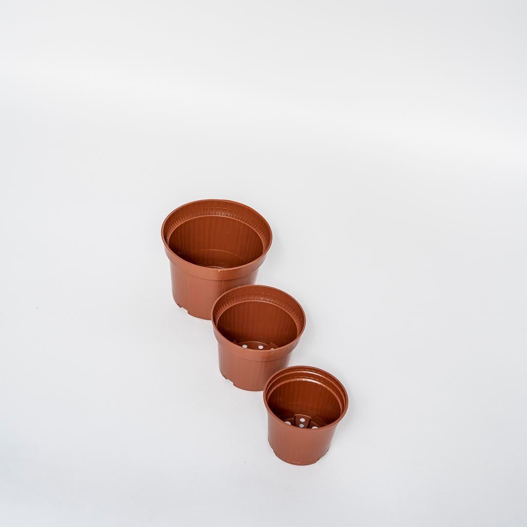 Ensemble de pots de fleurs en terre cuite