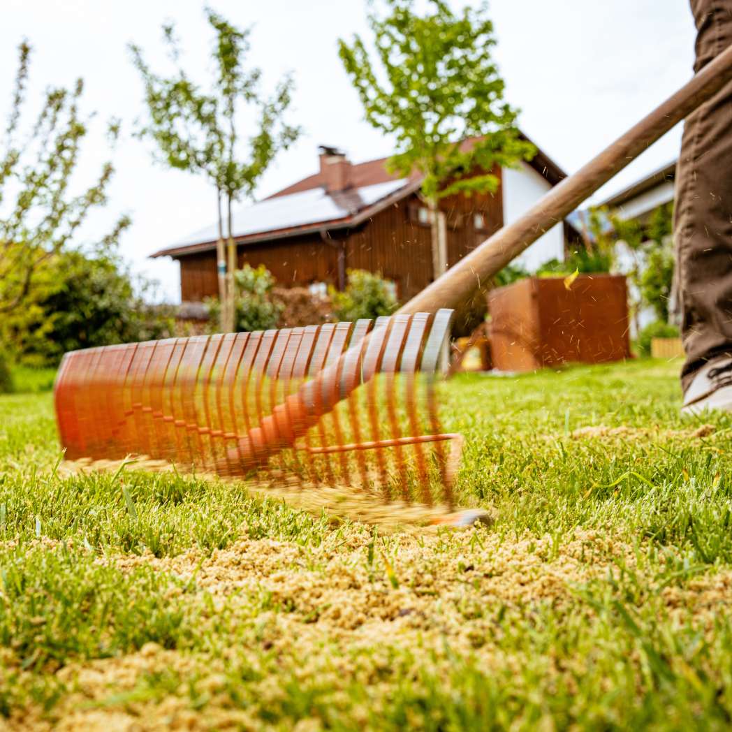 Agricon Rasensand 20 kg