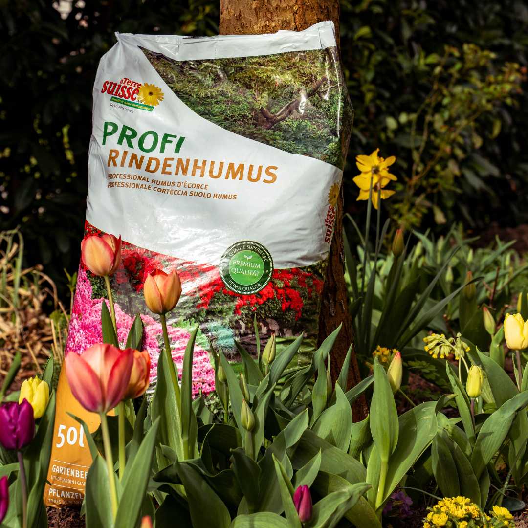 humus di corteccia sciolta