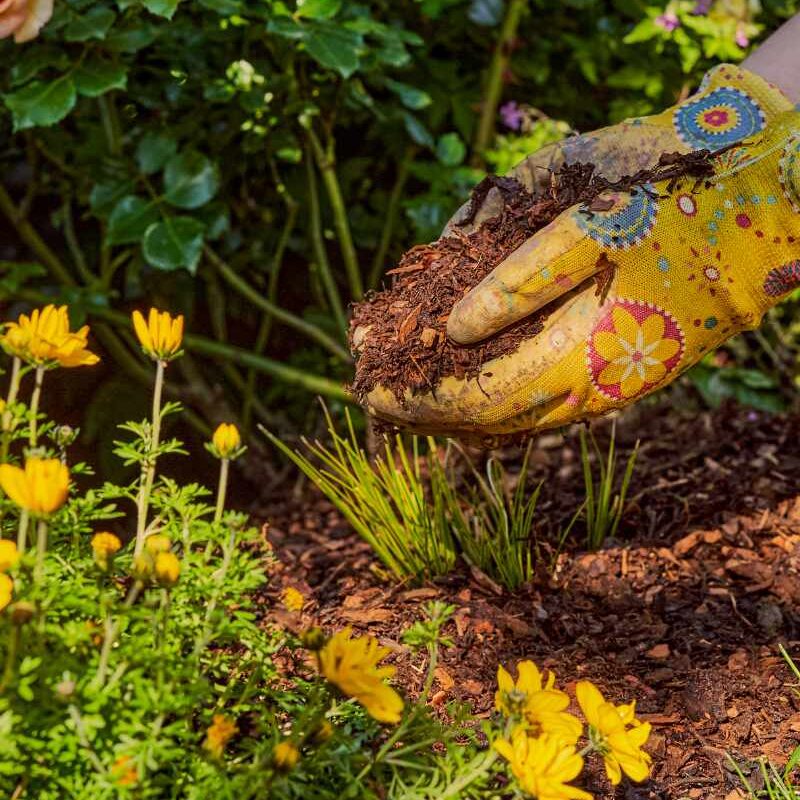 paillis d'écorce meuble