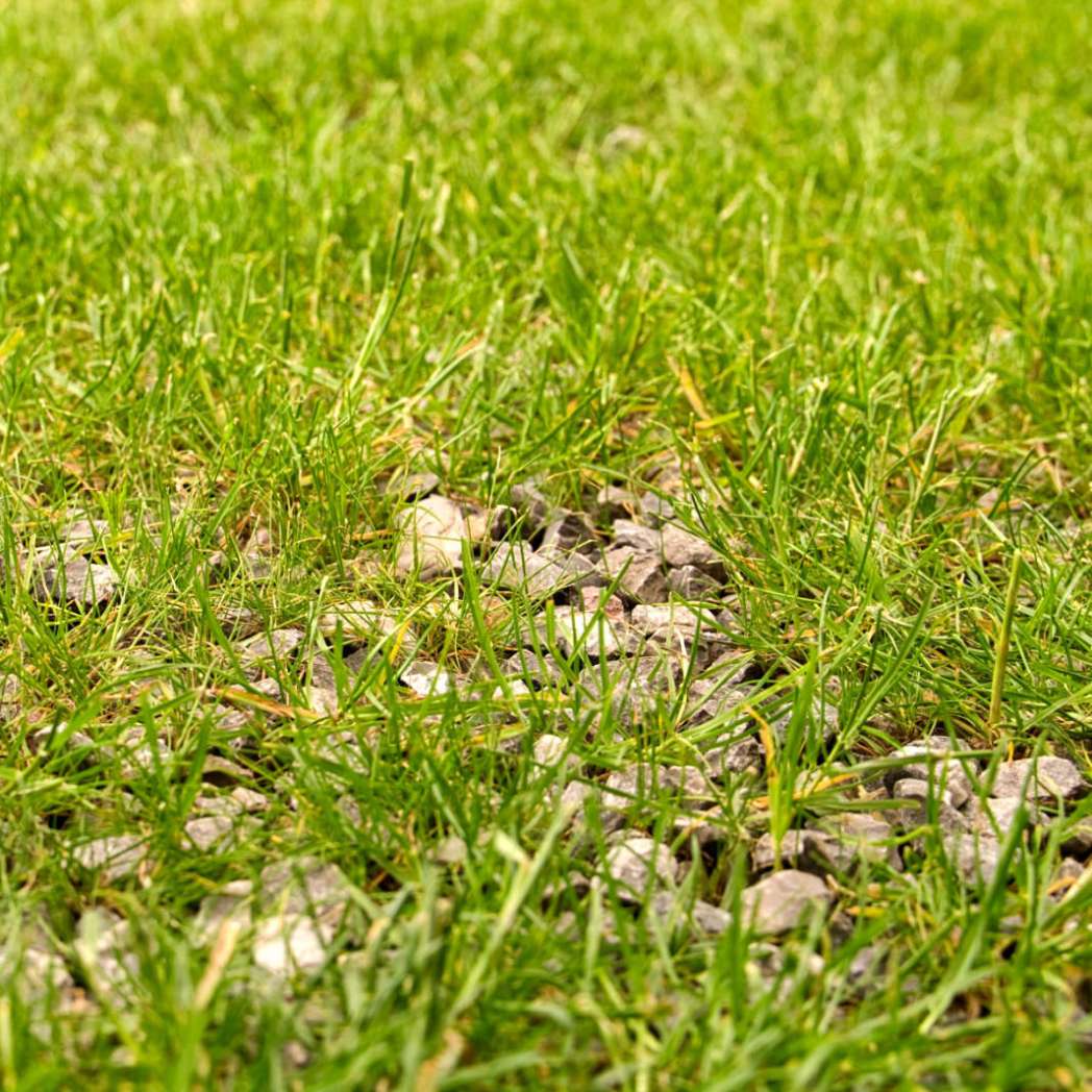 Substrato di prato ghiaioso sciolto 