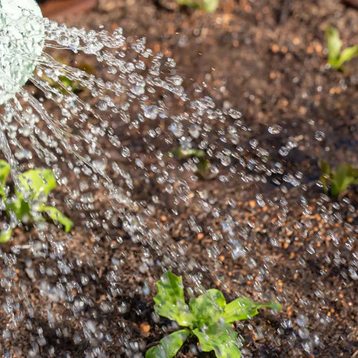 Telaio pieghevole per letto rialzato 60 