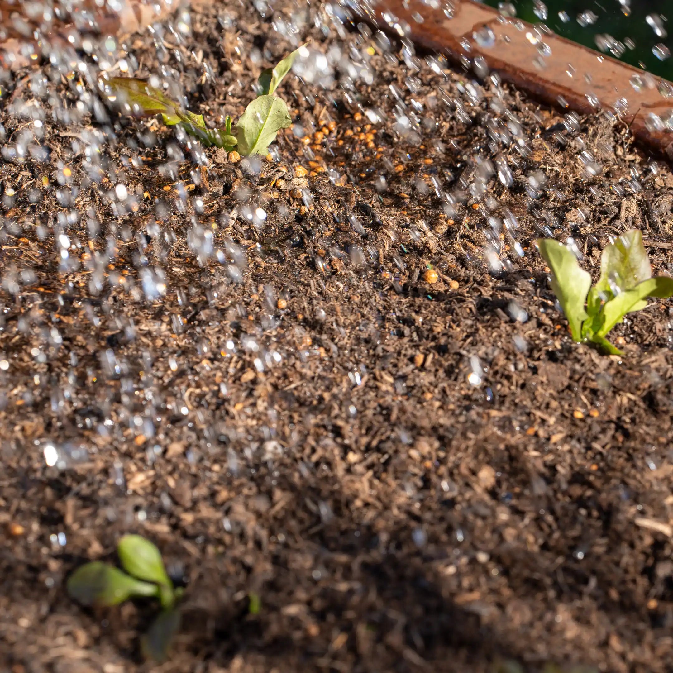 Lit surélevé en acier