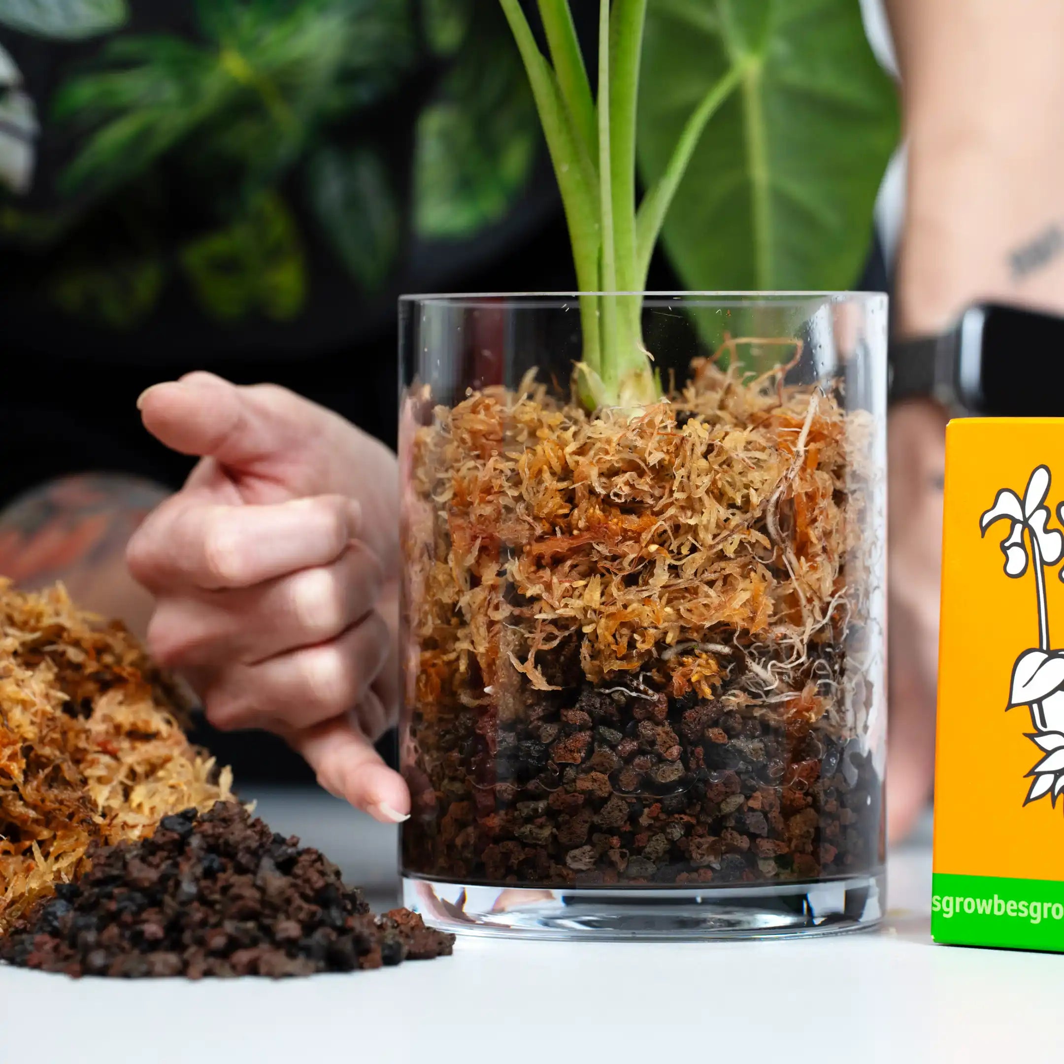 Terriccio per orchidee 5l
