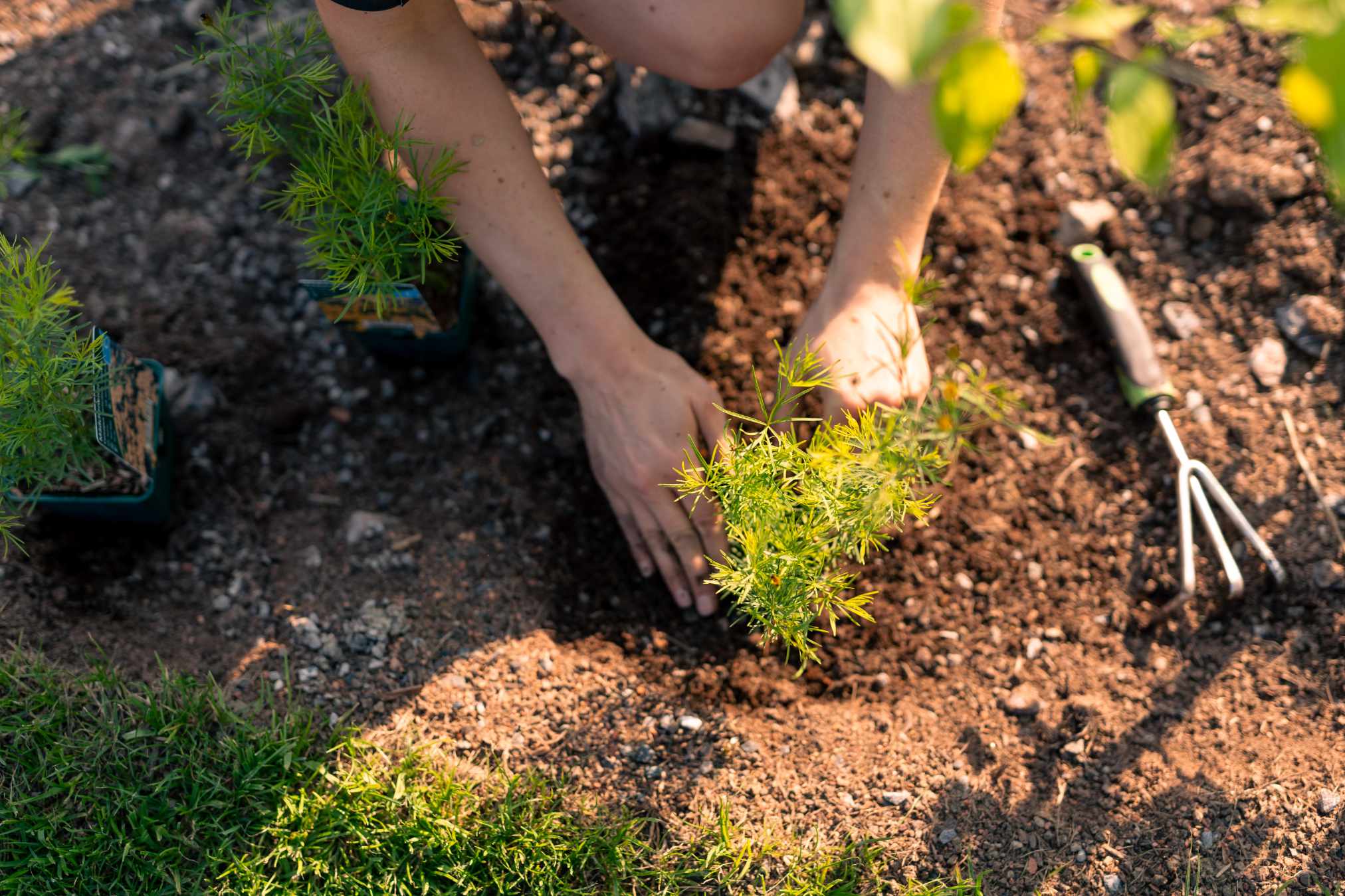Substrato sciolto per tettoie 