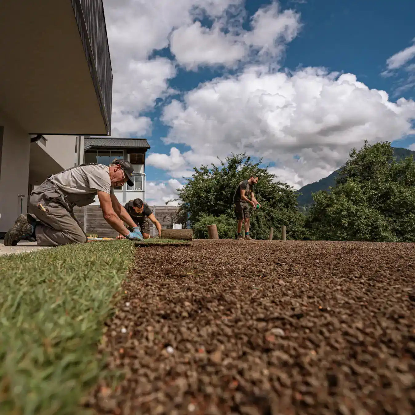 Gazon en rouleaux m² 