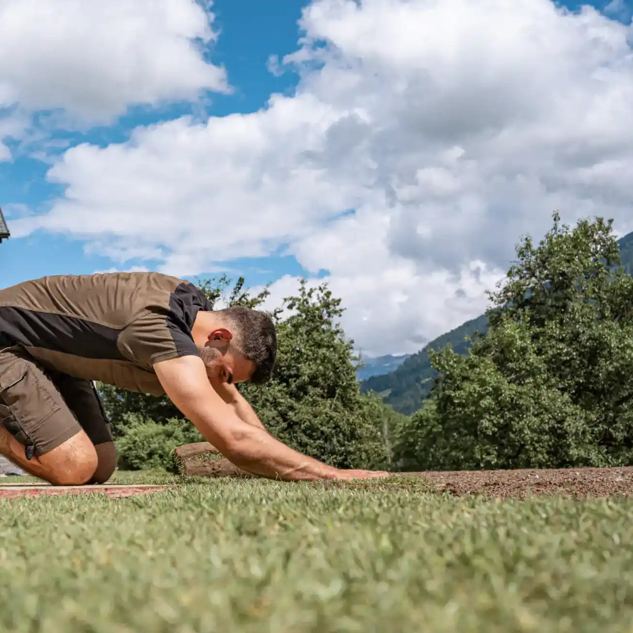 Gazon en rouleaux m² 