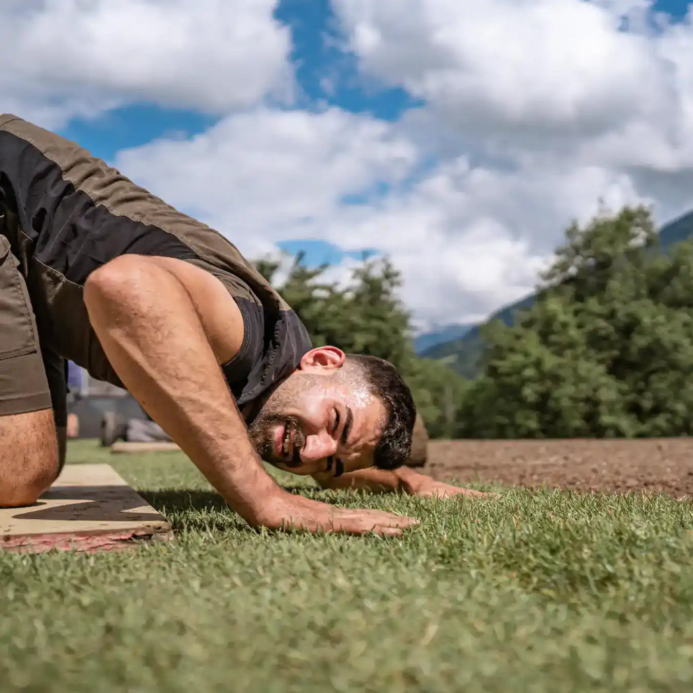 Gazon en rouleaux m² 