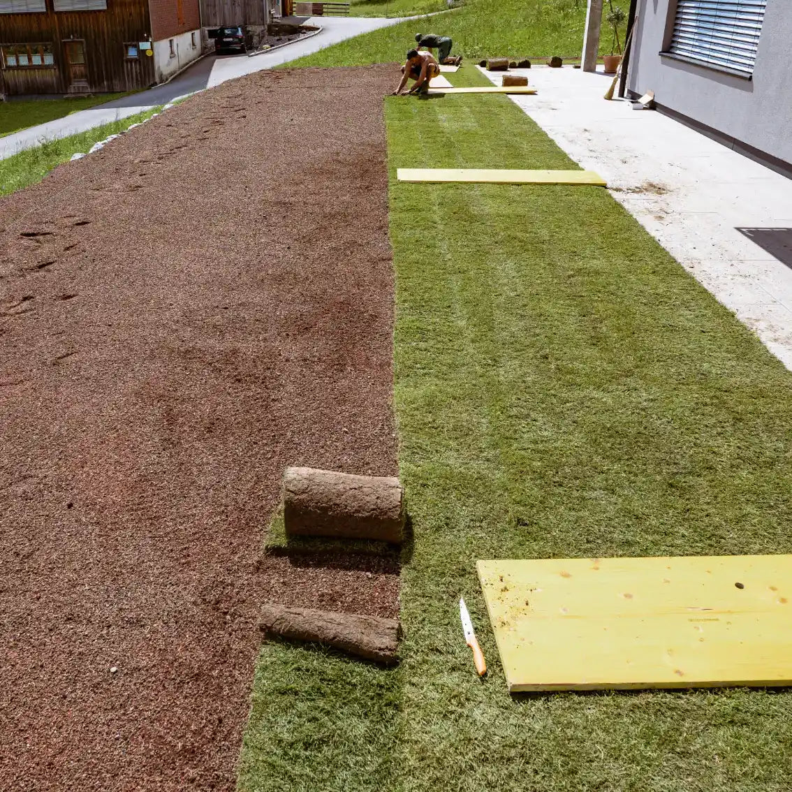 Gazon en rouleaux m² 