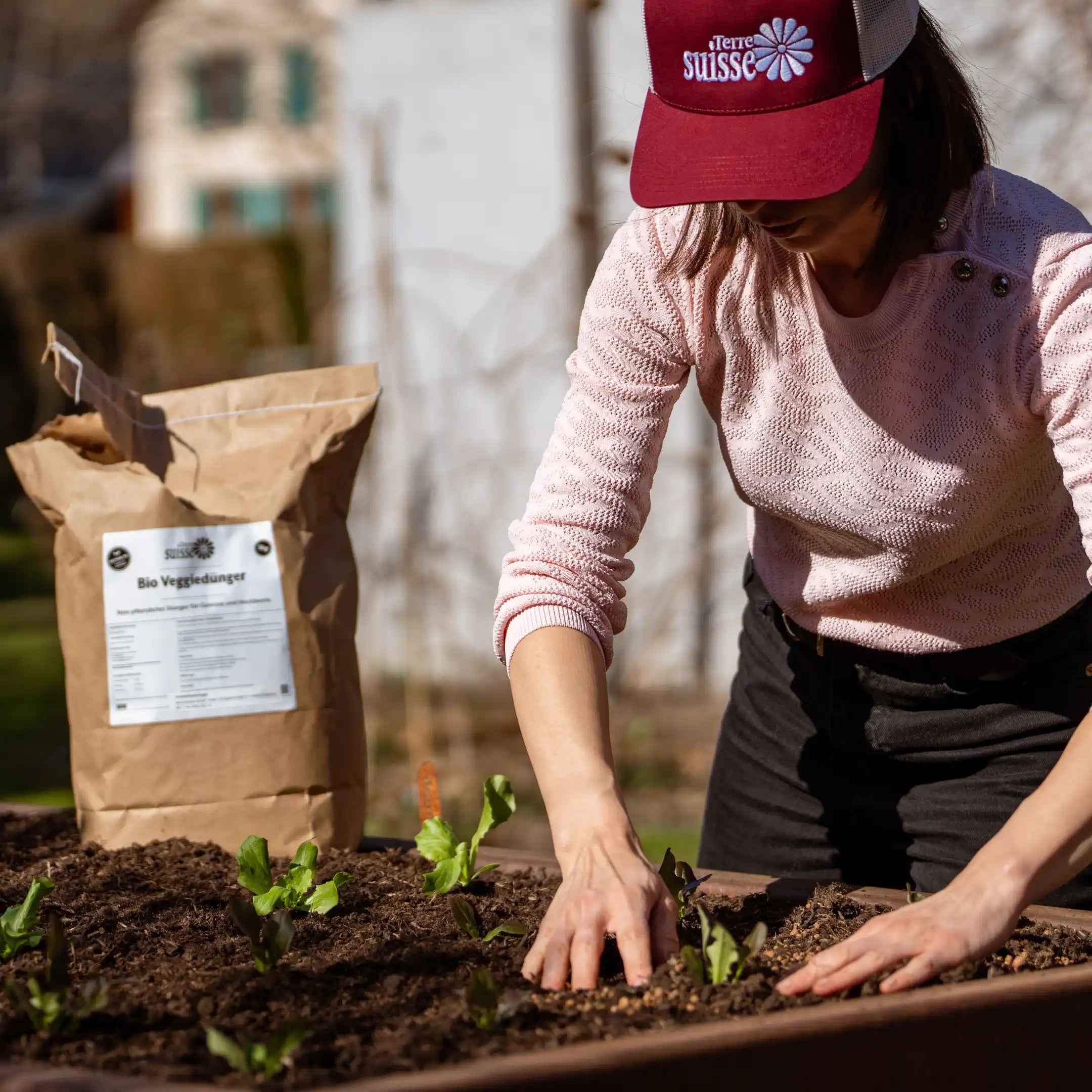 Engrais organique pour légumes
