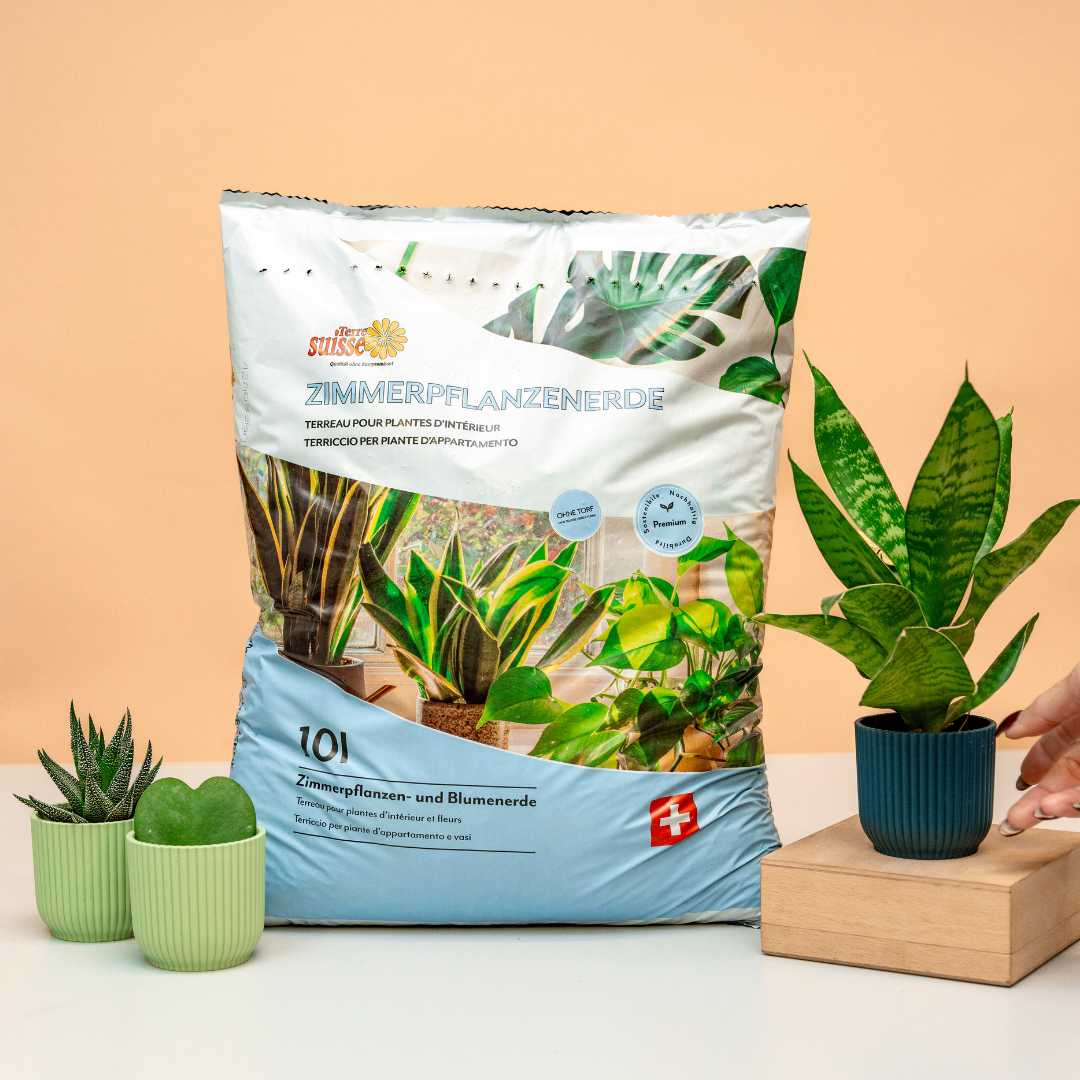 10l di terriccio per piante da appartamento