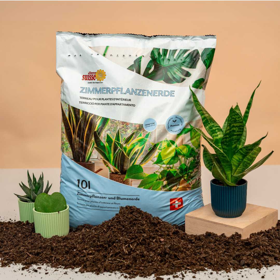 10l di terriccio per piante da appartamento