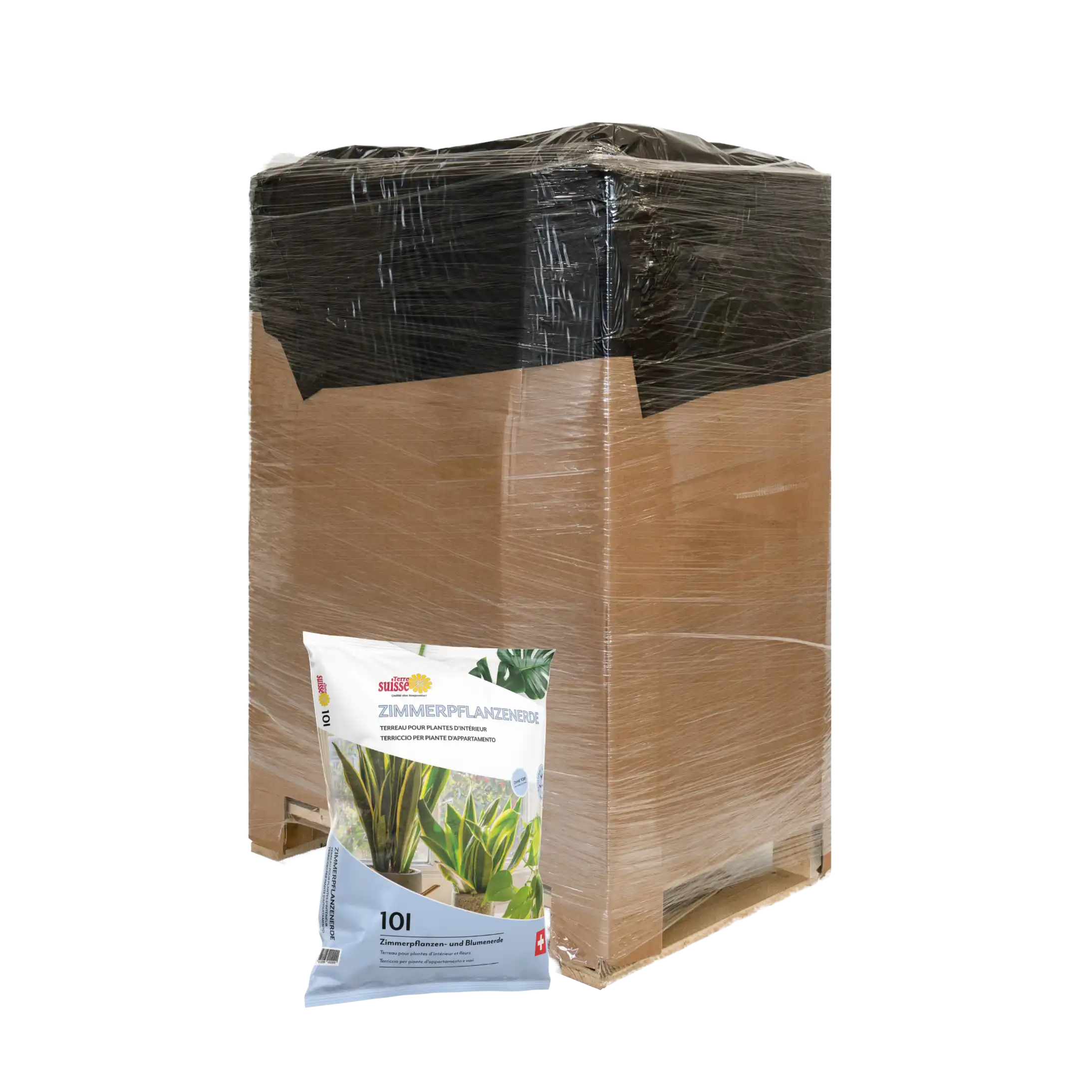 10l di terriccio per piante da appartamento