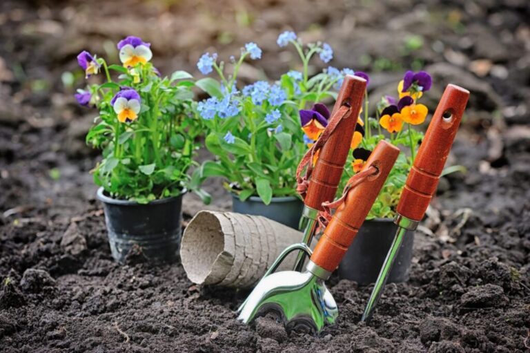 Attrezzi da giardinaggio e fiori primaverili in giardino