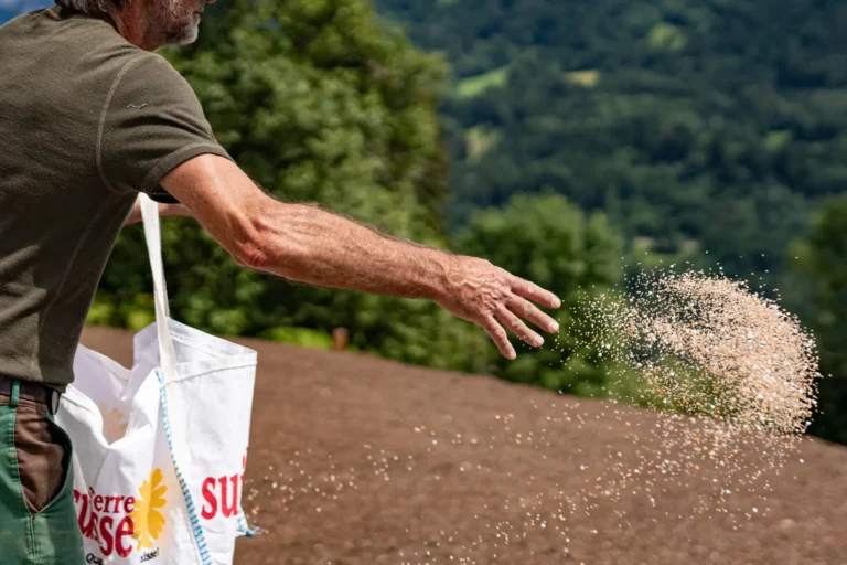 Fertilizzare il prato in autunno: perché, quando e come?