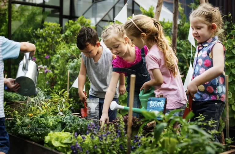 Creare un giardino di snack