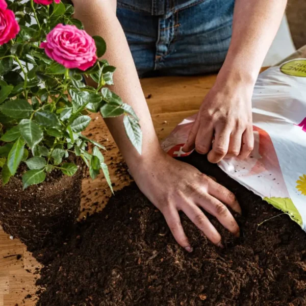 Für blühende Rosen Terre Suisse Rosenerde