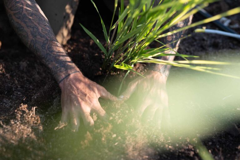 Fare progetti per il nuovo anno di giardinaggio