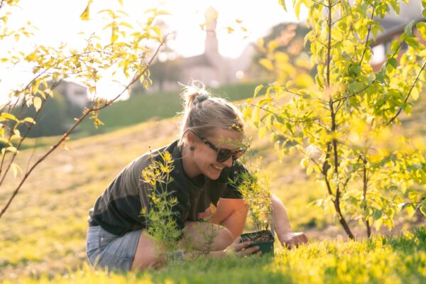 Gartenerde lose – Bild 5